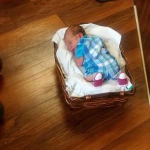 Meet your Posher, Rose